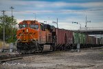 GRAIN TRAIN FROM THE REAR
